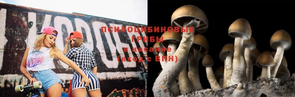 apvp Покровск