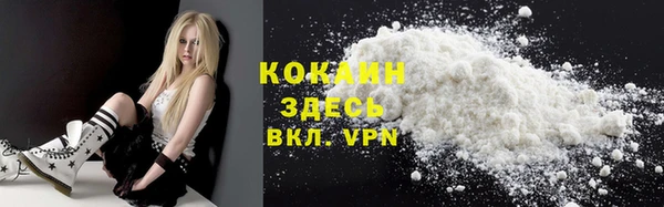 сатива Покачи