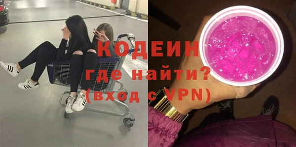 сатива Покачи