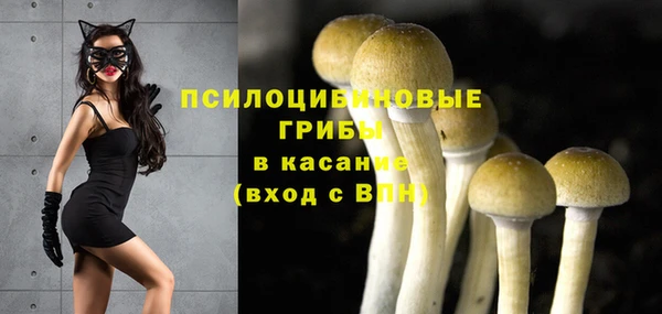 прущие грибы Покров
