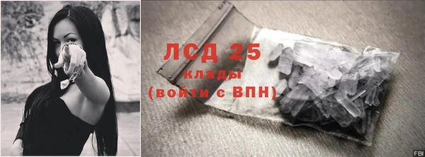 сатива Покачи