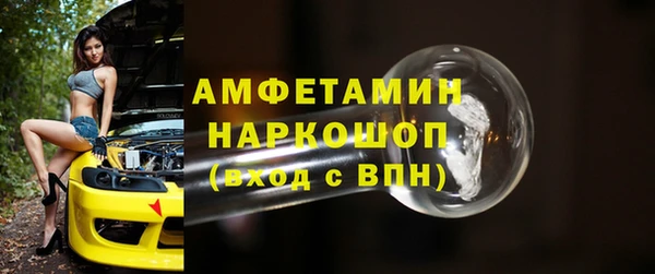сатива Покачи