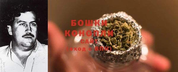 прущие грибы Покров