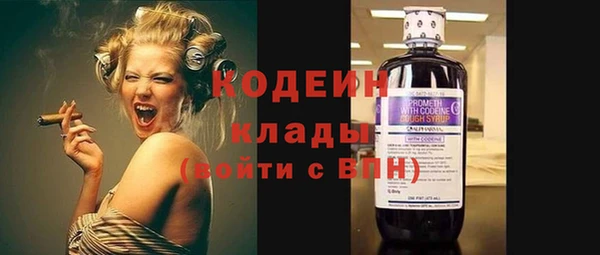 сатива Покачи