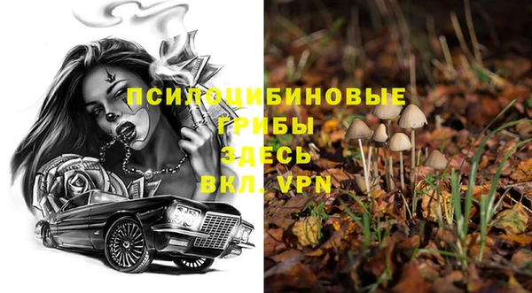 прущие грибы Покров