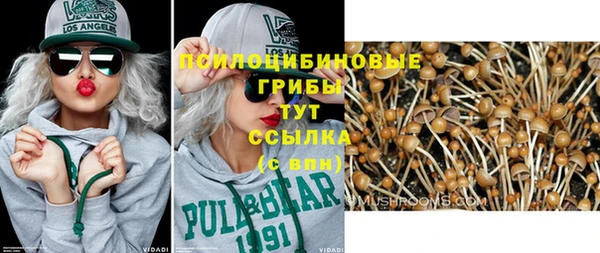 прущие грибы Покров