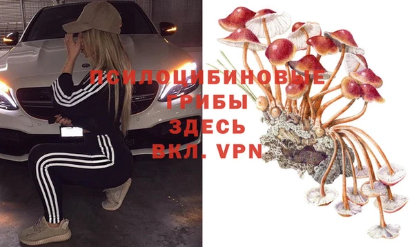 сатива Покачи