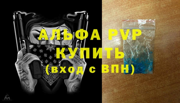 прущие грибы Покров
