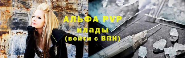 прущие грибы Покров
