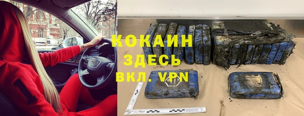 прущие грибы Покров