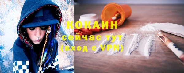 прущие грибы Покров
